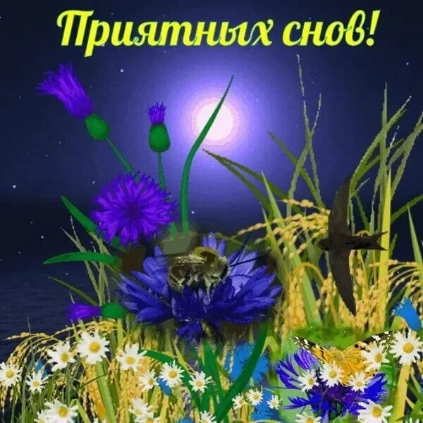 Гифка доброй ночи. Доброй ночи летом. Июльской ночи картинки с надписями. Июльской ночи картинки с надписями. Спокойной ночи.