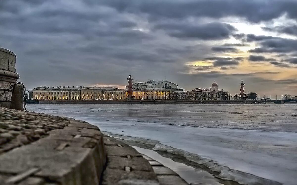 ковид петербурге