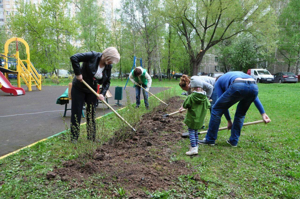 Три студенческих отряда посадили 2800 деревьев. Высадка деревьев и кустарников. посадка деревьев в парке. ноябрьск посадка деревьев и кустарников.