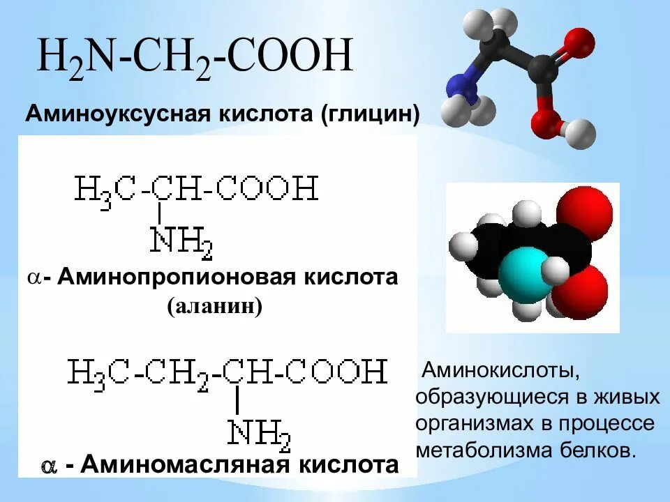 Выберите вещества с которыми реагирует глицин. Аминоуксусная кислота формула. глицин (аминоуксусная кислота), 25кг. альфа амино пропионовая кислота изомеры. глицин аминоуксусная кислота формула.