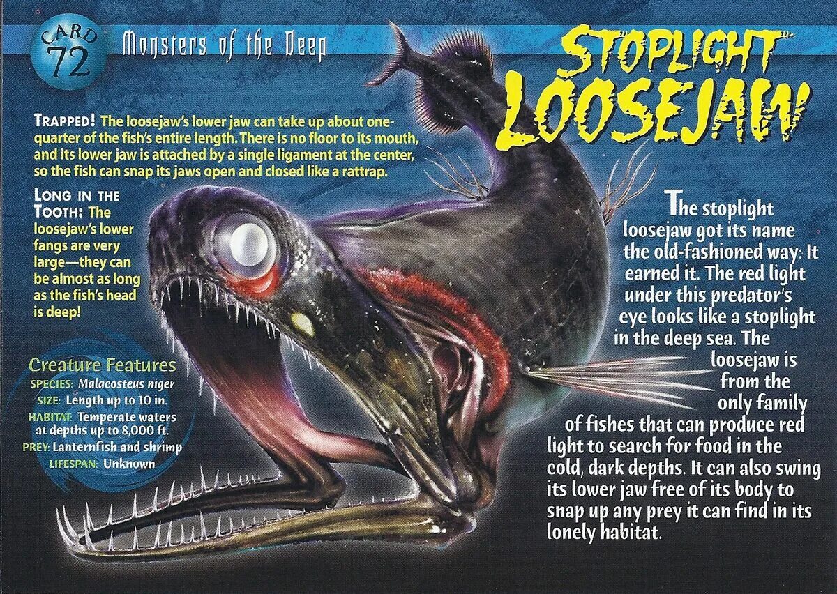 Amazing creatures 5