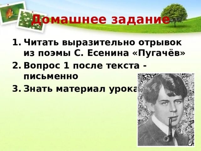 В чем смысл отрывка из поэмы пугачев