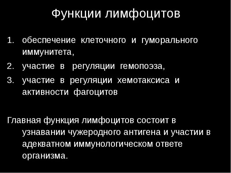 Основная функция в лимфоцитов заключается в. Каковы функции лимфоцитов. лимфоциты функции лимфоцитов. лимфоциты выполняют функцию.