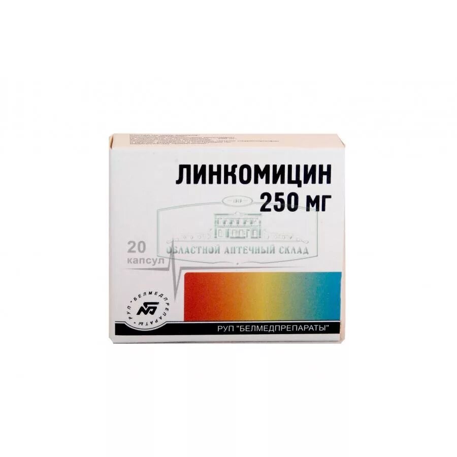 Линкомицин уколы в десну. Антибиотик линкомицин 0,25. Линкомицин капсулы 250 мг. Зубной антибиотик линкомицин. Антибиотик для зубов и десен линкомицин.