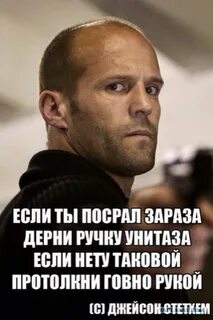 Цитатник стетхема