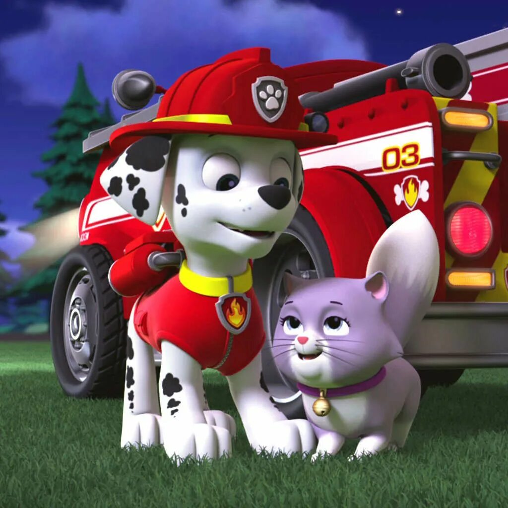 Щенячий патруль nick jr. Paw Patrol. Щенячий патруль Калли. Paw Patrol игра. Щенячий патруль Кали.