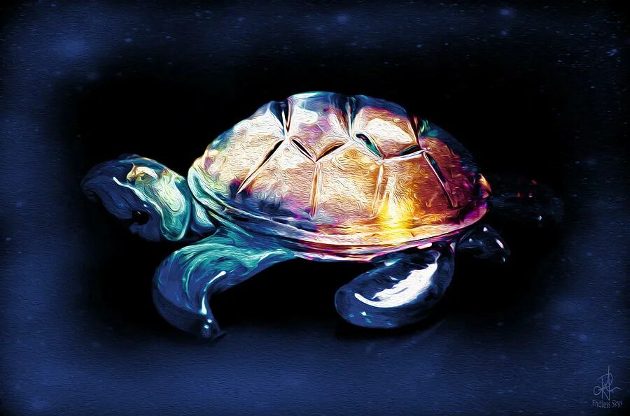Make the turtle