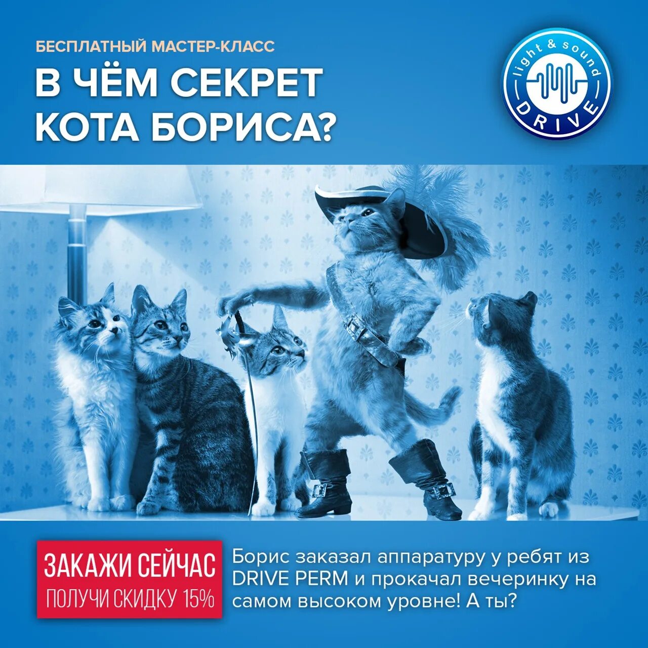 Энергия кота бориса. В чем секрет кота бориса. Секрет энергии кота бориса мем. В чем секрет кота бориса. В чем секрет кота бориса.