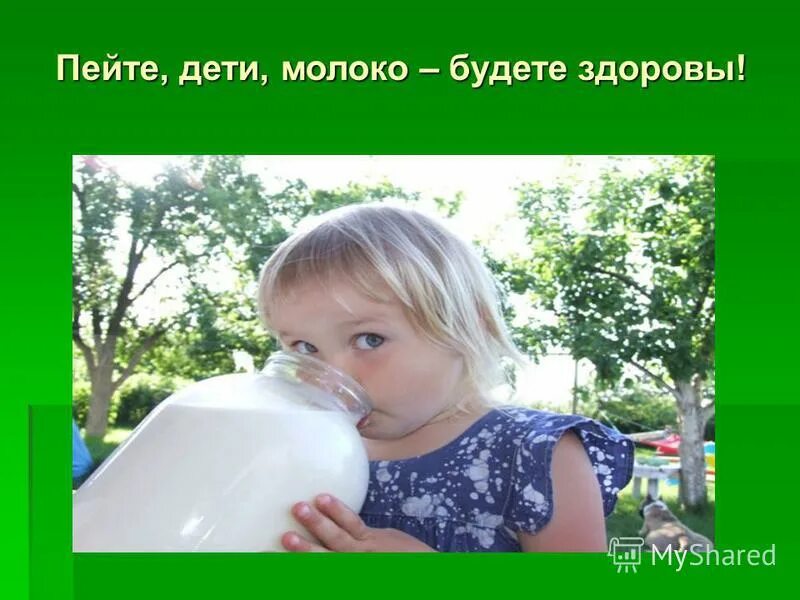 девочка наливает молоко в стакан. сам пей молоко. молокаку. аюрведа о молоке и молочных продуктах. пейти детки молоко будете здоровы.