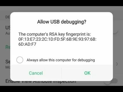 Rsa key fingerprint