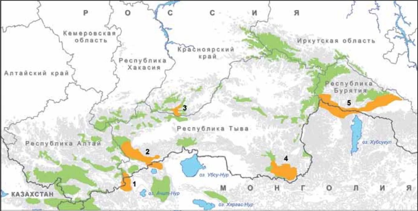 Ареал обитания ирбиса на карте россии. Ореол оибтания снежного барса. Ареал снежного барса. Снежный барс обитание на карте. Ареал снежного барса.