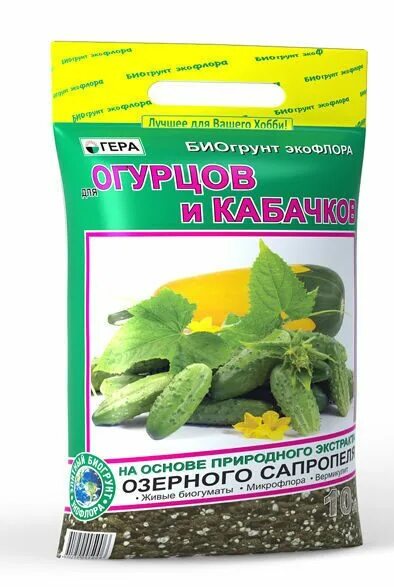 огурцы в открытый грунт. грунт для рассады. грунт для рассады огурцов. почва для рассады. грунт для рассады огурцов.