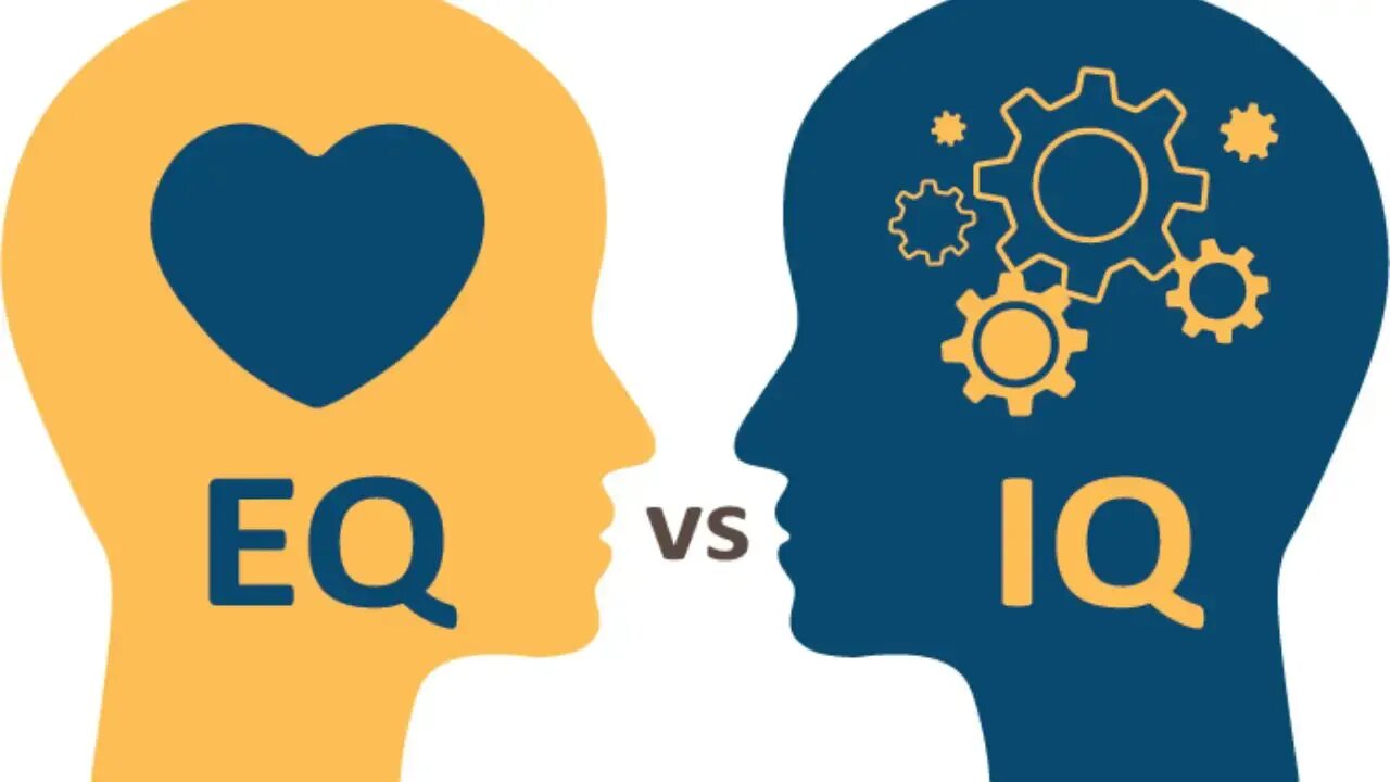 Iq testcc