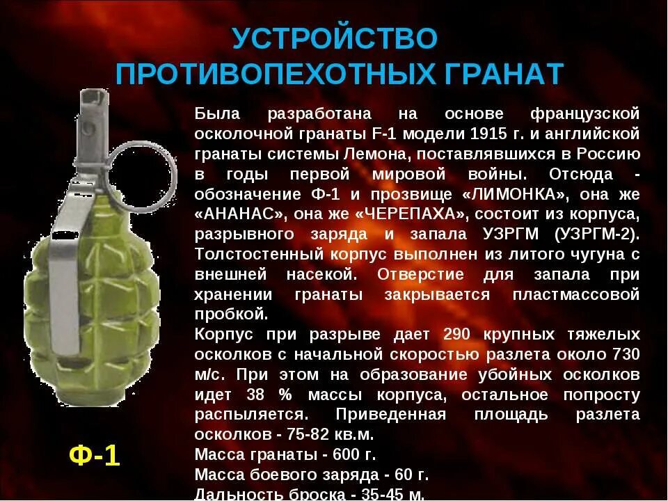 Граната ф1 и РГД 5. Назначение ручной осколочной гранаты ф-1. Ручные гранаты ф-1, РГН, РГД-5 И РГО. Гранаты ф1 и РГД 5 характеристики.