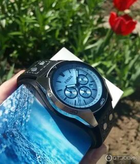 Fossil ch 2564