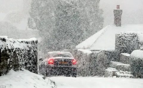 These are snow
