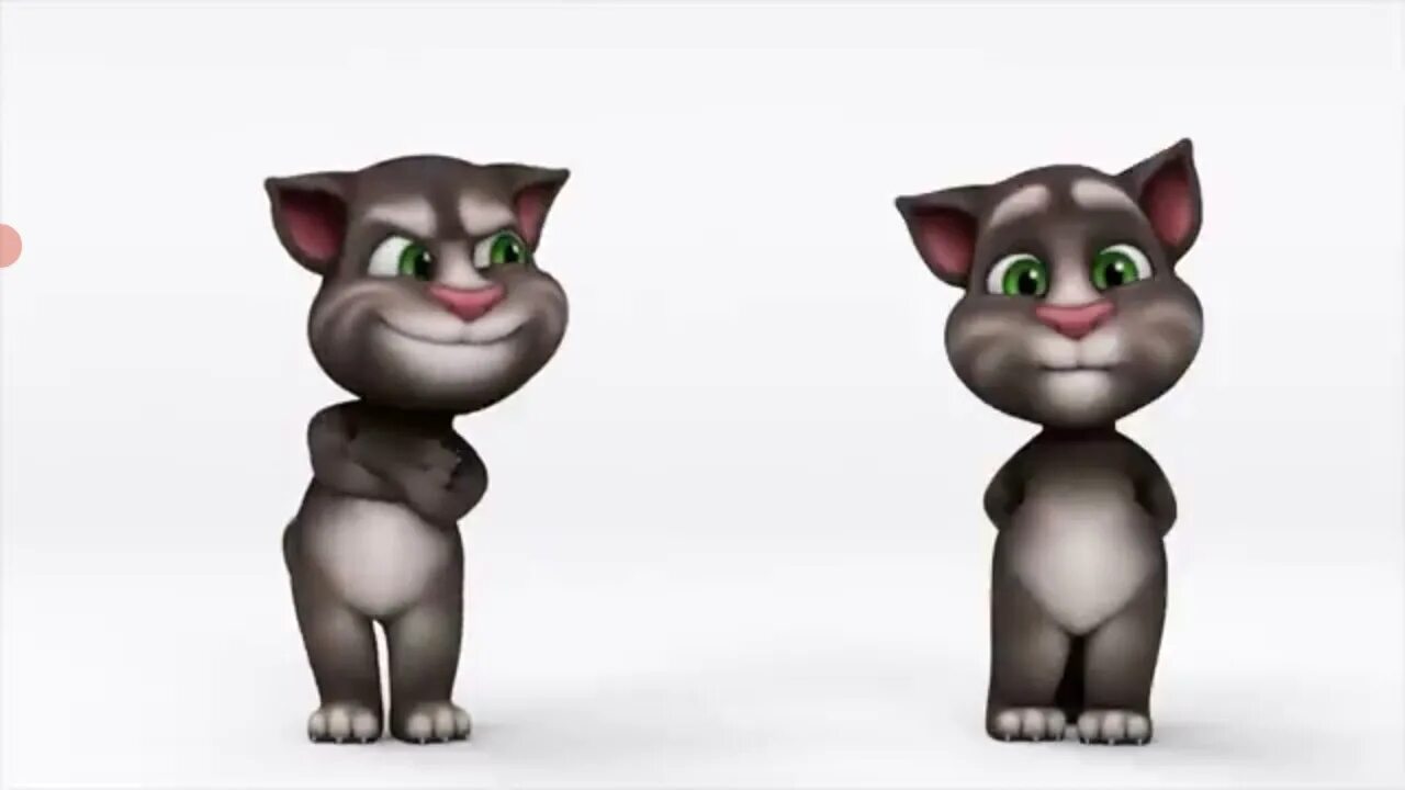 Модель говорящего тома. Talking Tom 1/1/1970. Talking Tom igameplay1224. Talking Tom r63. My talking Tom единорожьего.