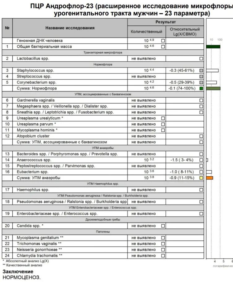 Андрофлор анализ у мужчин что показывает. Исследование микрофлоры урогенитального тракта мужчин методом ПЦР. Исследованиемикрофлорыурогенитальноготрактамужчинметодомпцр. Микрофлора урогенитального тракта методом ПЦР У мужчин. Расшифровка микрофлоры урогенитального тракта мужчин методом ПЦР.