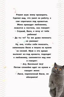 Анекдокот Анекдот про то Как мужик свою жену решил проверить Дзен