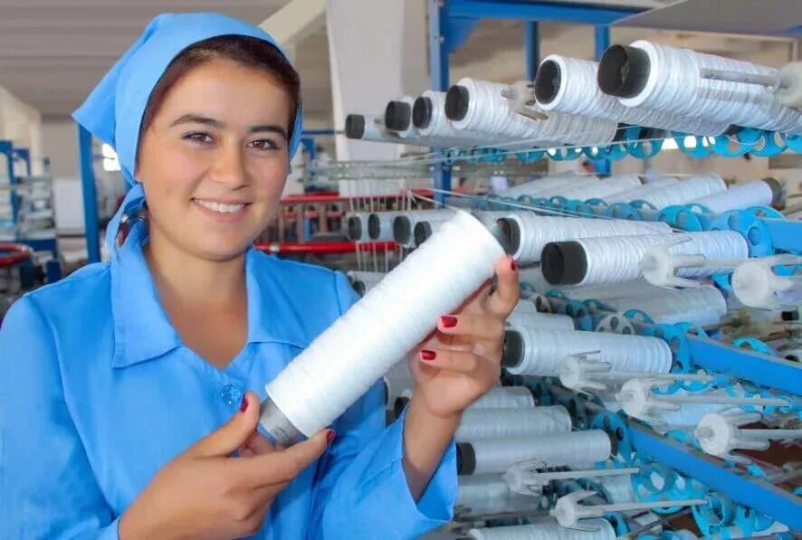 Biz oid