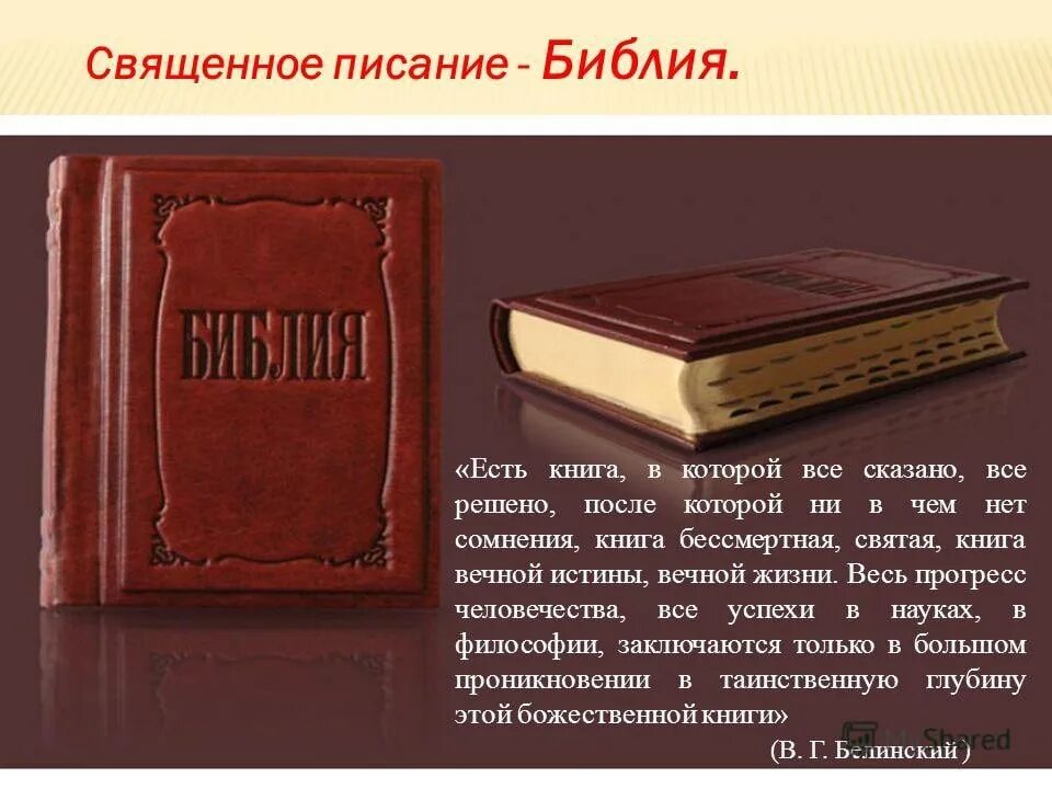 Книги Священного Писания. Библия. Священное Писание Библия. Библия в иллюстрациях.