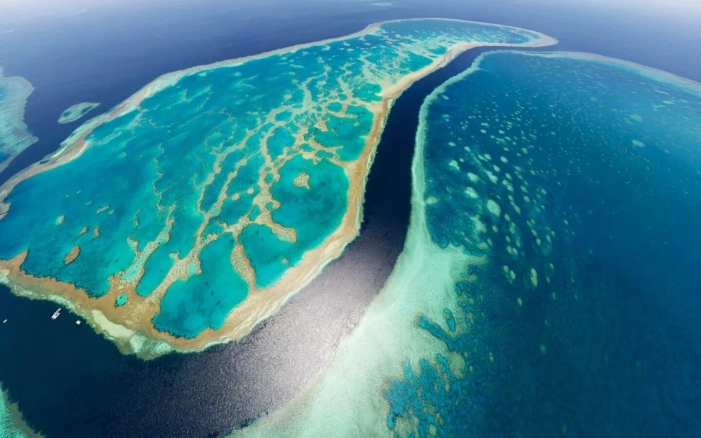 Полуостров мирового океана. Большой коралловый риф в Австралии. Великий Барьерный риф Австралия. Острова большого барьерного рифа. Большой Барьерный риф Австралия природа.