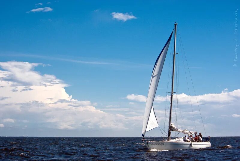 Sailing i want to. Парус на финском заливе. Финские парусные яхты. Регата в Финляндии. Финский залив Парус доска.