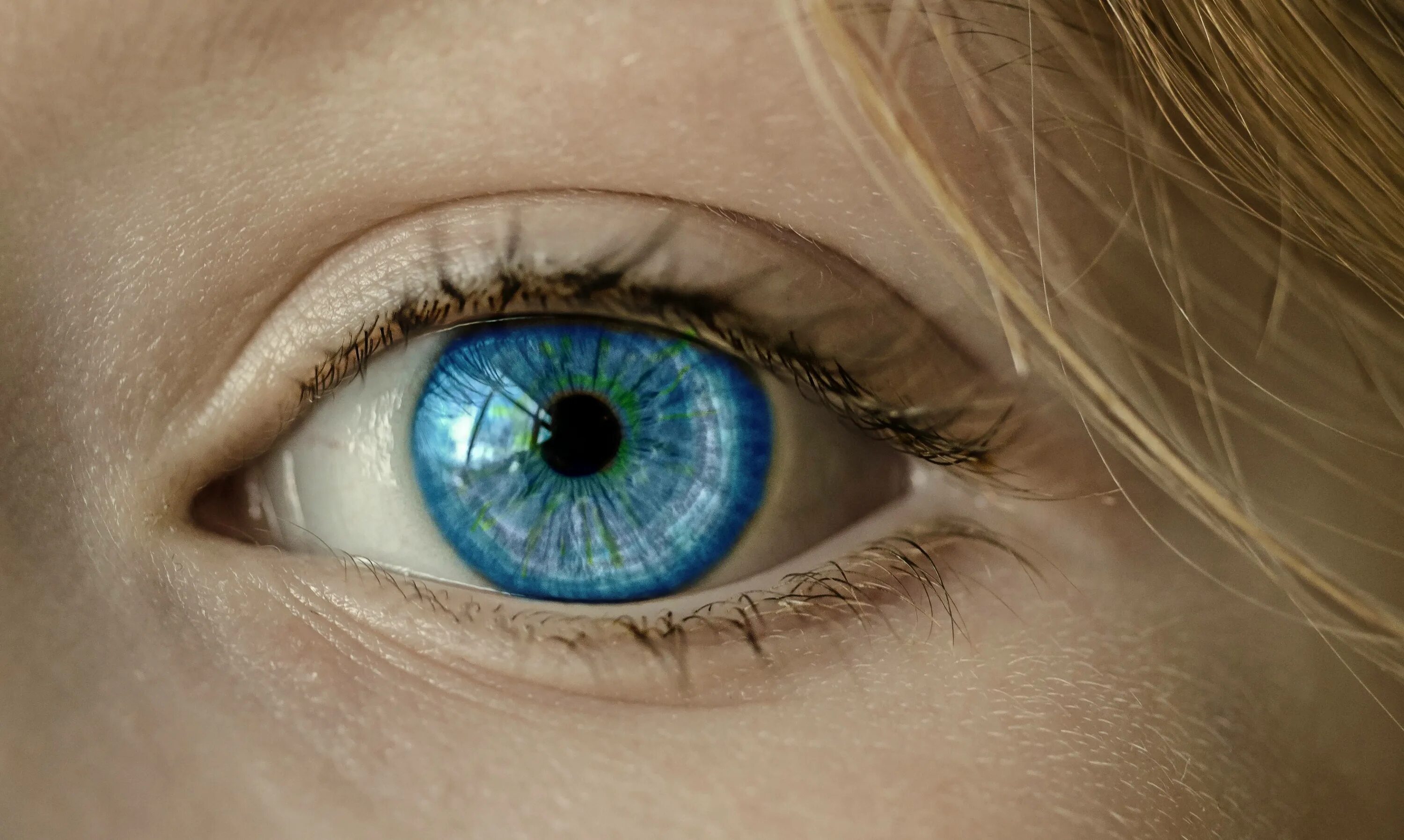 Зеленые глаза на свету. Болотный цвет глаз гетерохромия. Человеческий глаз. Красивые глаза. Желто зеленые глаза.