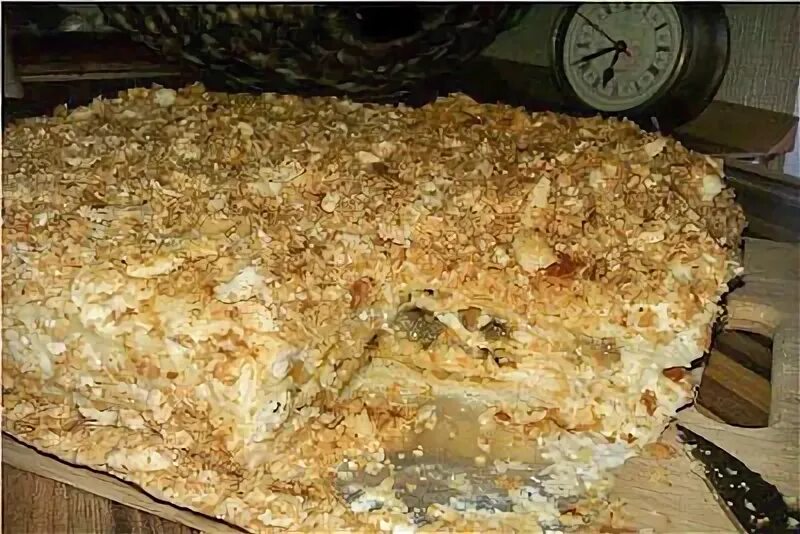 Закусочный грибной торт наполеон. Наполеон закусочный с курицей и грибами. Гриб наполеон. Пирог наполеон закусочный с консервой. Наполеон с грибами.