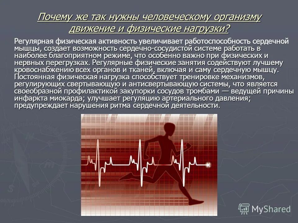 работоспособность сердечной мышцы. мощное сердце. работоспособность сердечной мышцы. высокая работоспособность сердца. работоспособность сердечной мышцы.