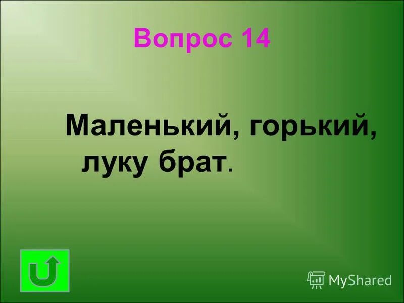 Маленькая горький. Маленький горький луку брат. маленький беленький луку брат.