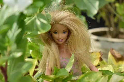 Highlandka, lalka, Barbie, ciemne włosy, zabawka - darmowe zdjęcie z Needpix.com AMP.