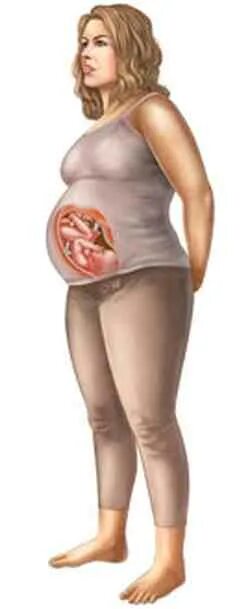 Беременность 40 недель 3 роды. Расположение ребенка на 40 неделе.