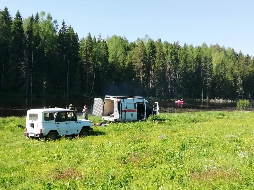 Погода зеленцово никольского вологодской. Степшинский Починок Никольский район. Лес Никольского района Вологодской области. Никольск Вологодская область площадь.