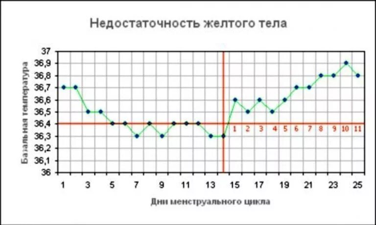 Температура во втором цикле. График базальной температуры менструационного цикла. Западение базальной температуры. Базальная температура менструационного цикла. Западение на графике базальной температуры.