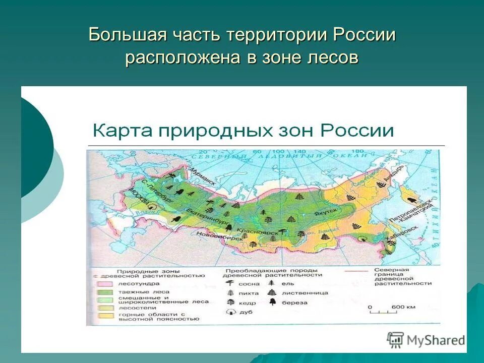 Большая часть территории расположена. Большая часть территории России расположена. Части территории России. Карта природных зон России.