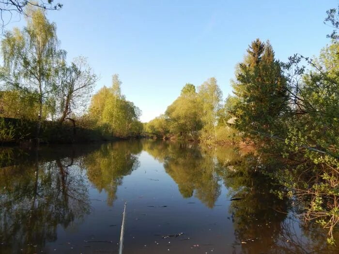 Барыбино рыбалка. Барыбино пруды. Растуновский пруд Домодедово. Водоем волна Барыбино. Барыбино школьный пруд.