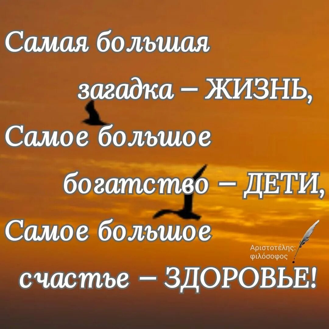 Цитата. Счастье высказывания цитаты. При любых обстоятельствах нужно оставаться человеком. Высказывания о здоровье. Статус главнее в жизни.