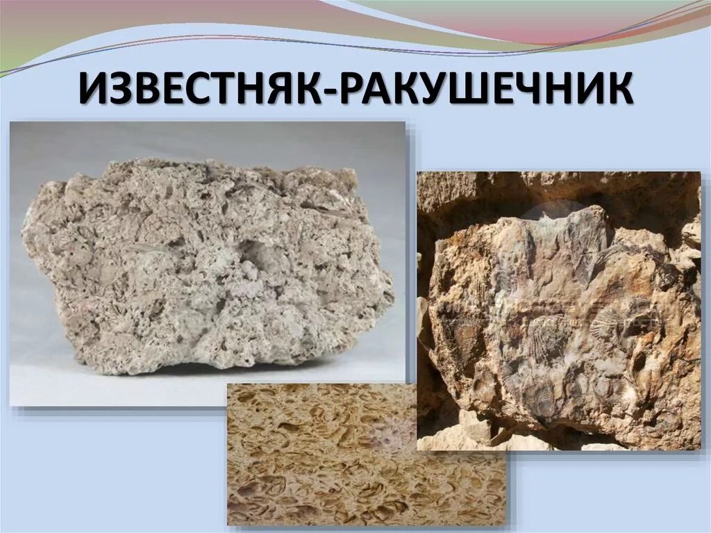 Тип известняка