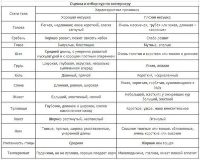 Пропайка цыплят с первых дней жизни