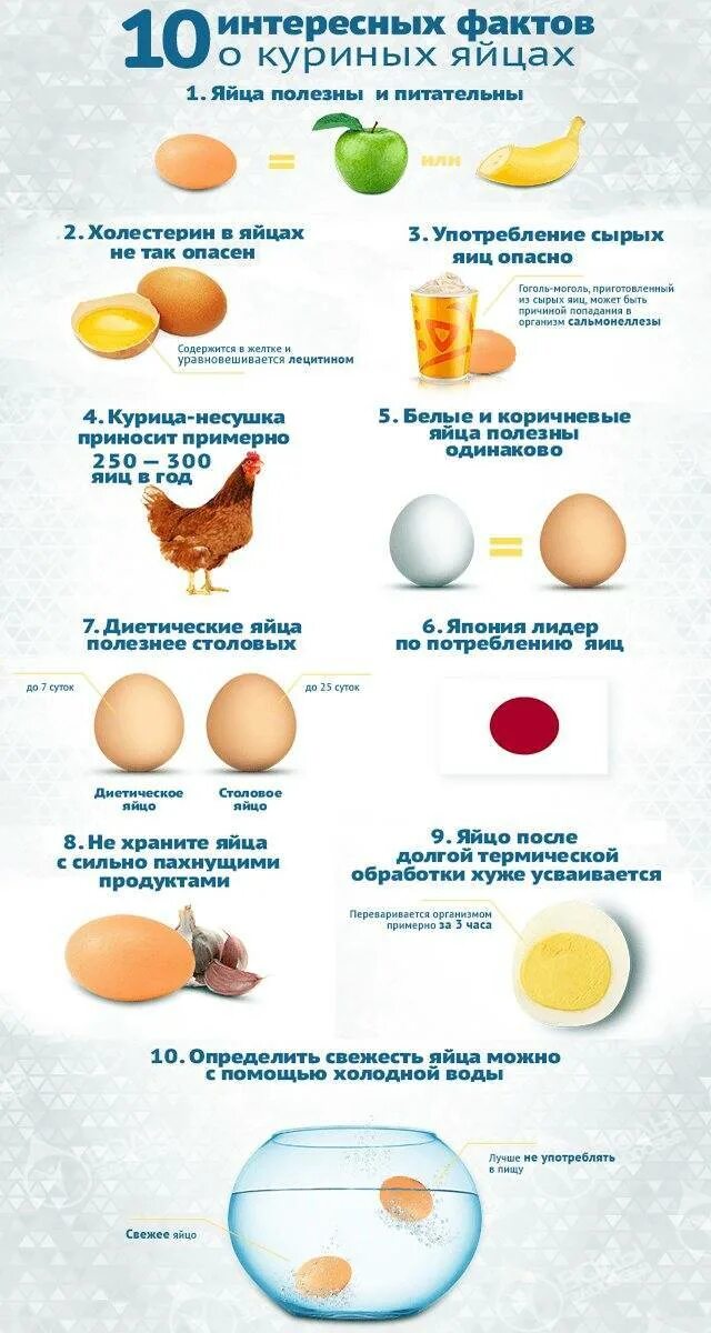 Сколько яиц нужно для омлета. Факты о яйцах куриных. Яйцо ребенку с какого возраста. С какого возраста можно давать ребёнку яйцо. Когда можно давать ребенку яйцо.