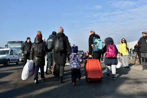 Беженцы количество