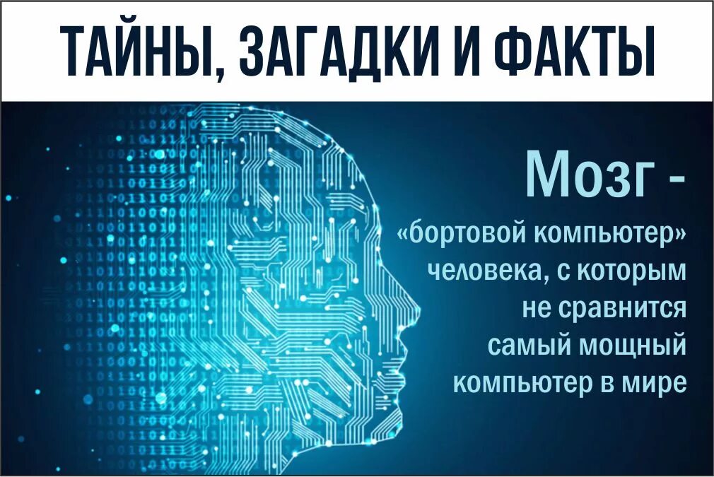 Удивительные факты о мозге человека. Факты о мозге. Факты о мозге. Интересные факты для детей. Факты о мозге.