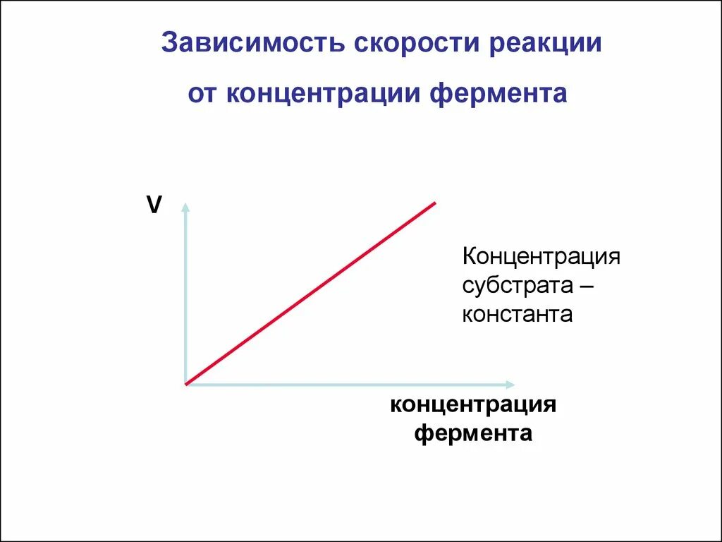 Зависимость ферментов от концентрации субстрата. Зависимость ферментативной реакции от концентрации фермента. Зависимость ферментативной реакции от концентрации субстрата. Зависимость скорости реакции от концентрации фермента. График зависимости скорости реакции от концентрации фермента.