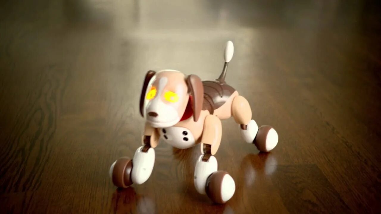 Zoommer