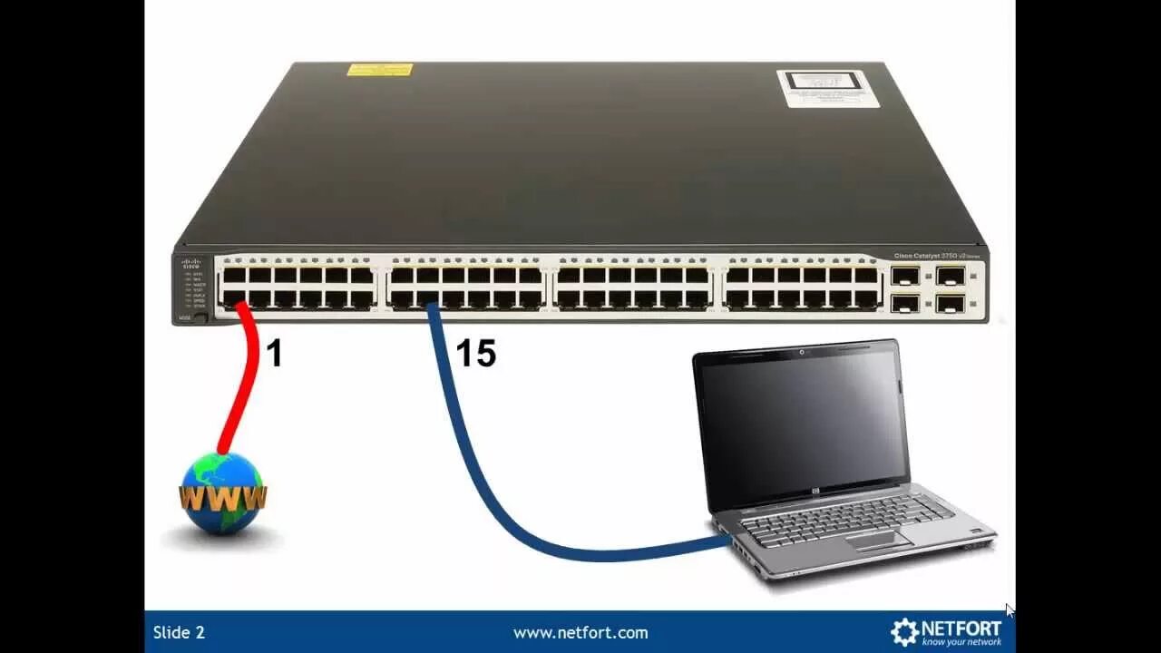 "Cisco 2960" MGMT Port. Консольный порт Cisco. Span порт коммутатора что это. Блоки портов в коммутаторе.