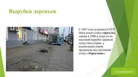 Омская область экология