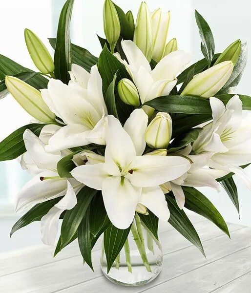 Pure lily