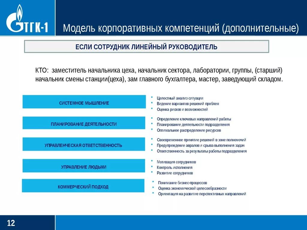 Корпоративный стандарт должен. Корпоративная модель компетенций. Модель корпоративных компетенций примеры. Развитие корпоративной компетенции. Модель корпоративных управленческих компетенций.