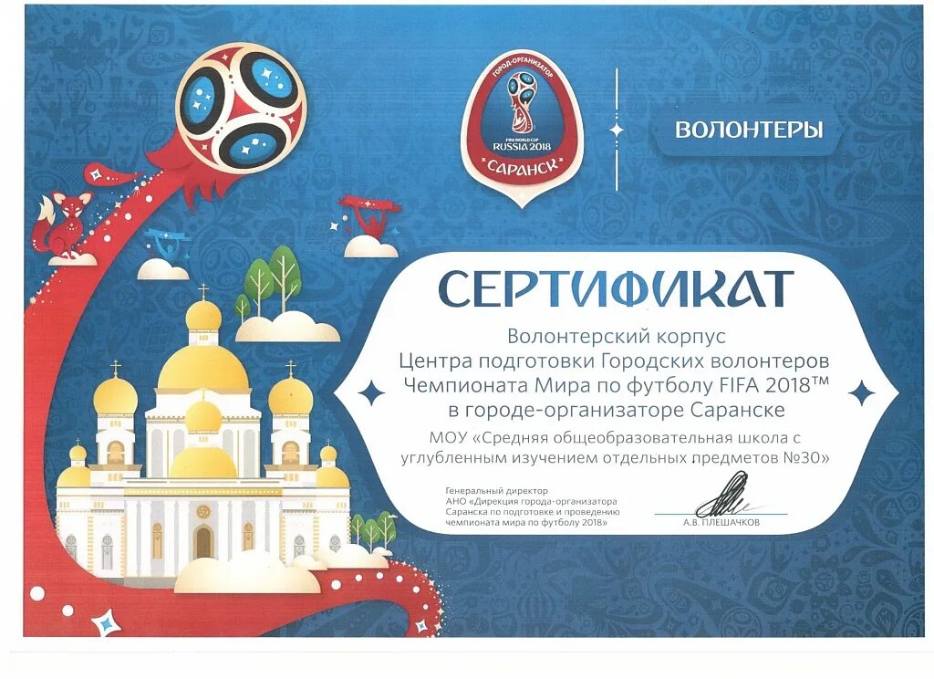 По подготовке и проведению чемпионата